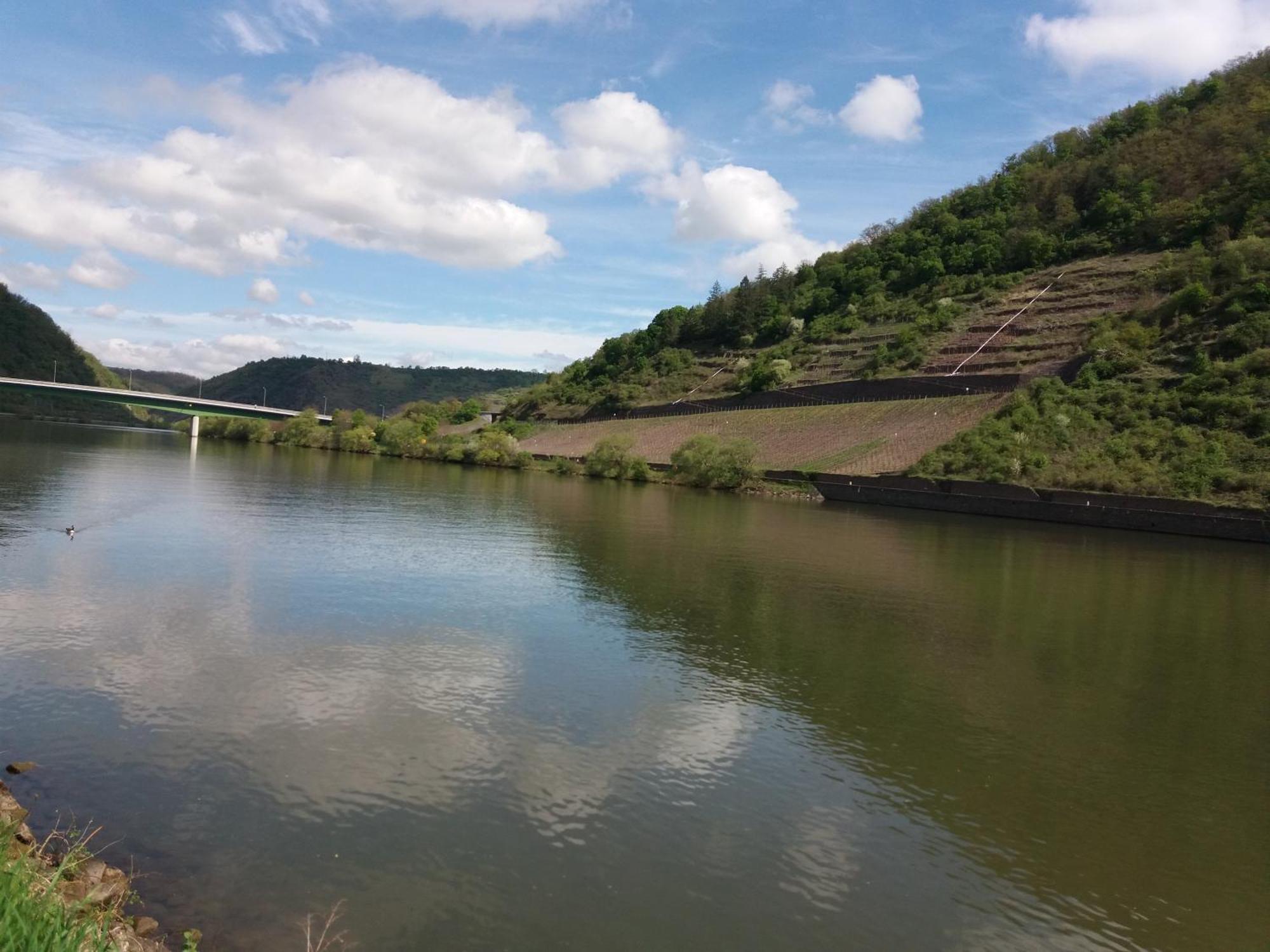 Apartment Altes Fachwerkhaus Mutter Mosel *
