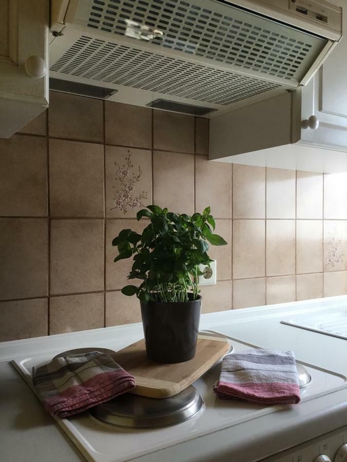 Altes Fachwerkhaus Mutter Mosel Apartment Loef